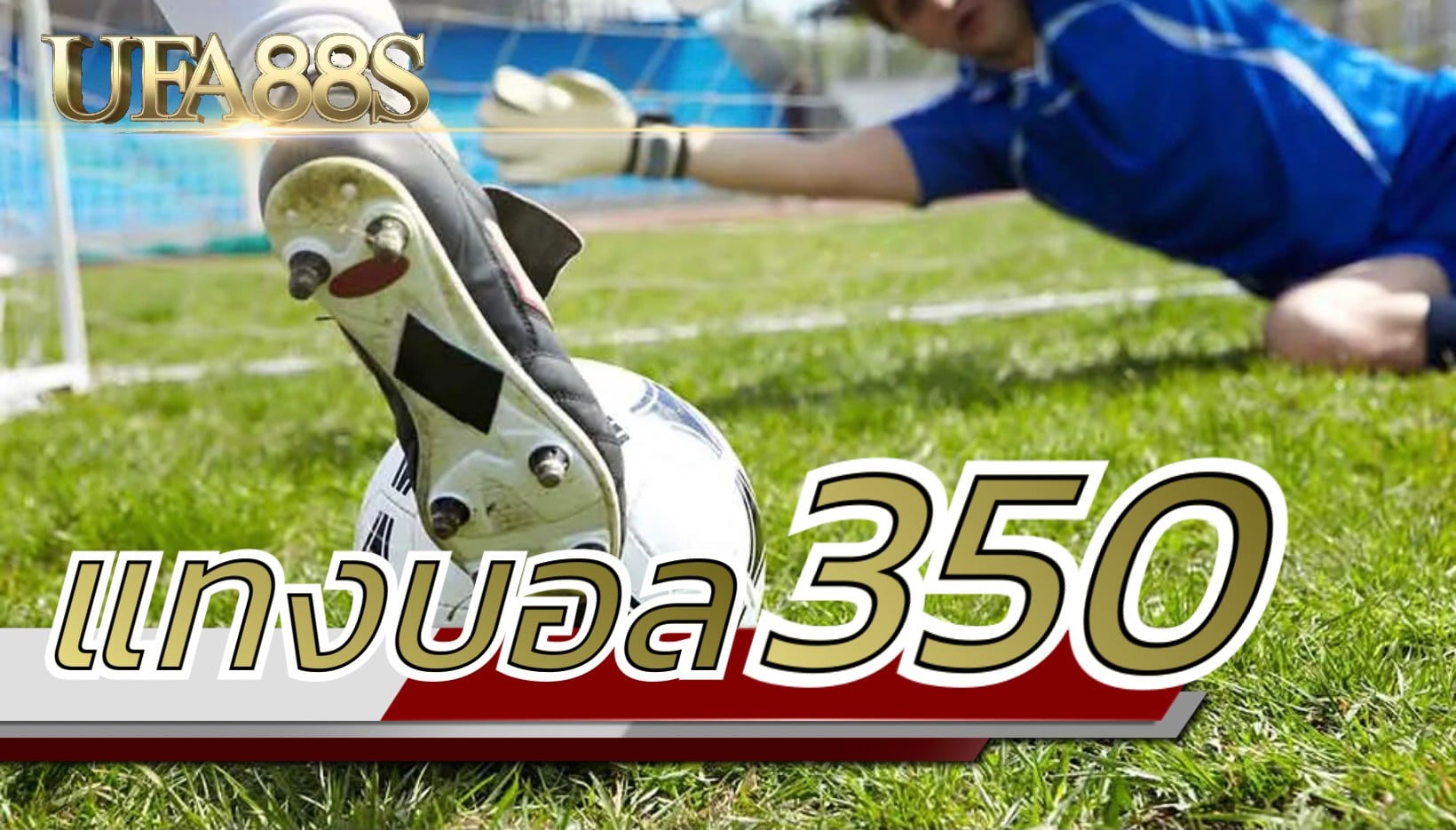 เว็บแทงบอล350
